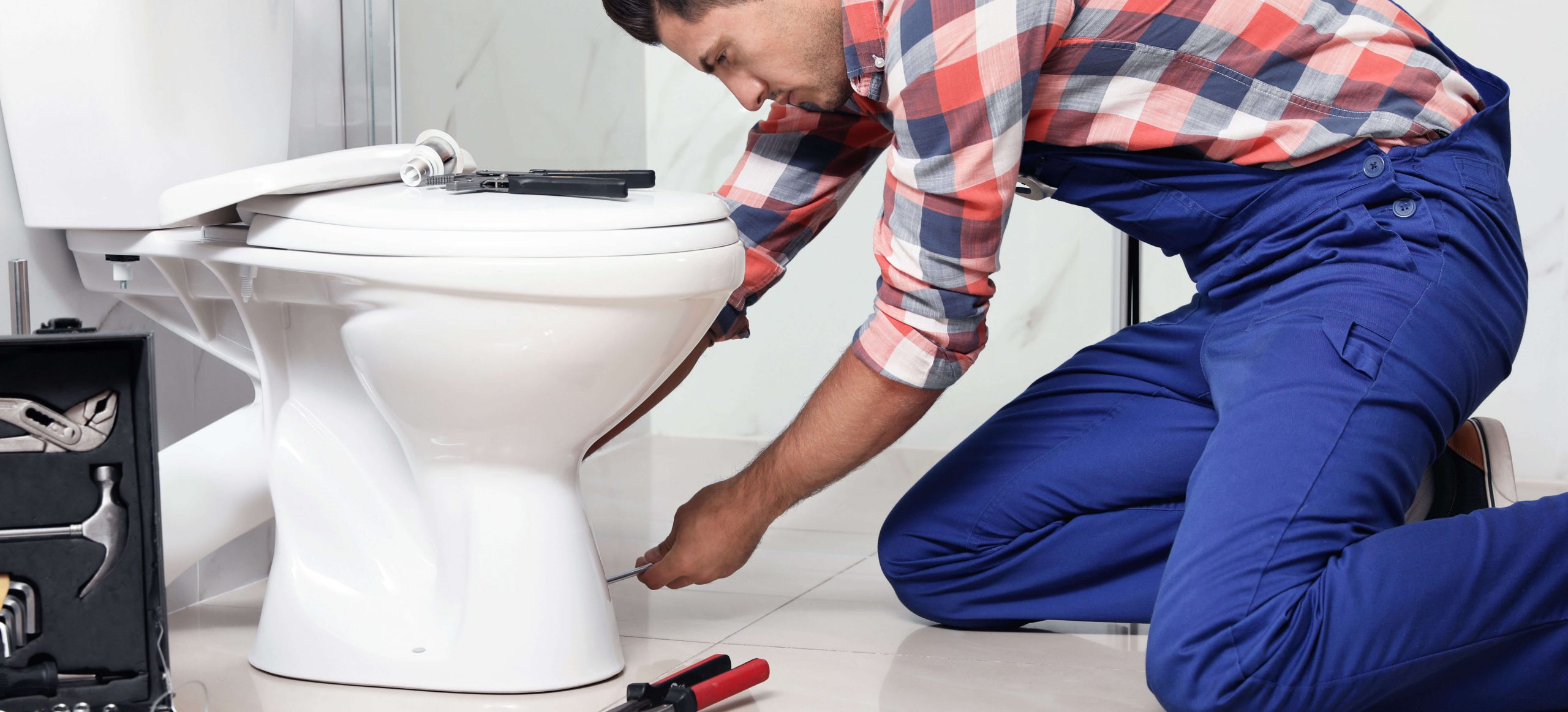 Toilet, Faucet & Fixtures
